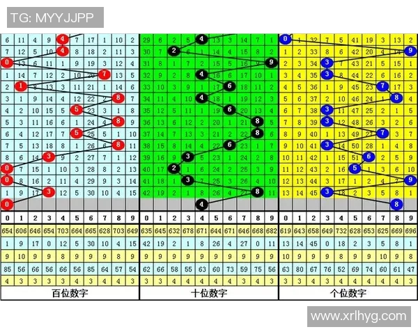 澳门一肖一码一必中一肖雷锋带你探索幸运与智慧的完美结合之旅